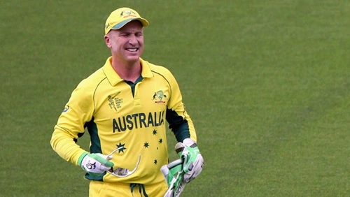 Brad Haddin