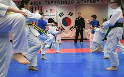 World Champion Taekwondo Academy