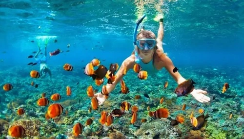 Snorkeling in the Andaman Islands