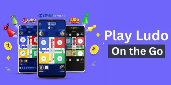 Play Ludo